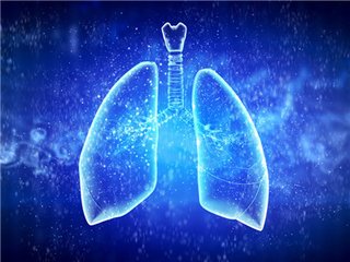 四种润肺汤在雾霾天气中保护好你的肺