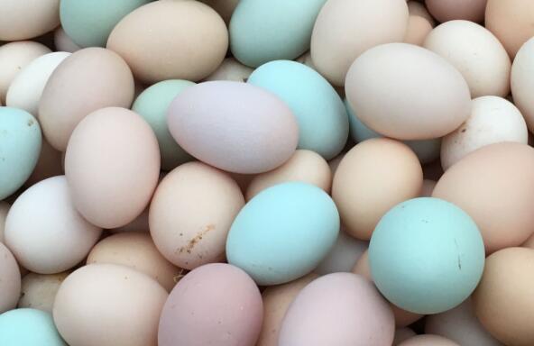黑鸡蛋的营养价值与功效作用
