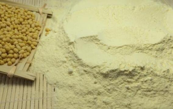 绿豆粉怎么做 绿豆粉的制作方法教程