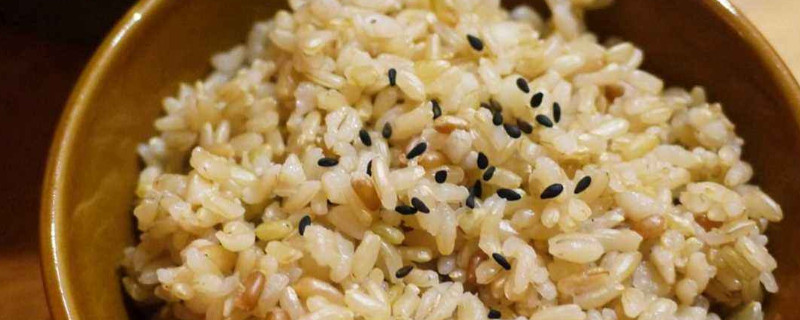 糙米直接蒸米饭可以吗