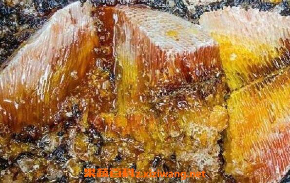 岩蜂蜜的功效与作用 岩蜂蜜的真假辨别
