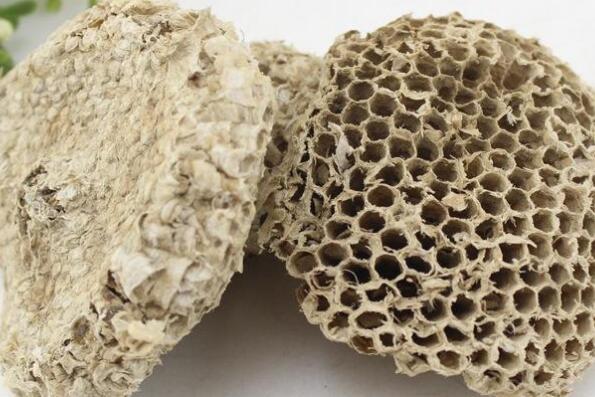 露蜂房和蜂房的区别 露蜂房的药用价值