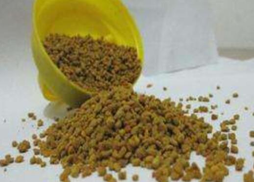 荞麦花粉的功效与作用 荞麦花粉的食用方法