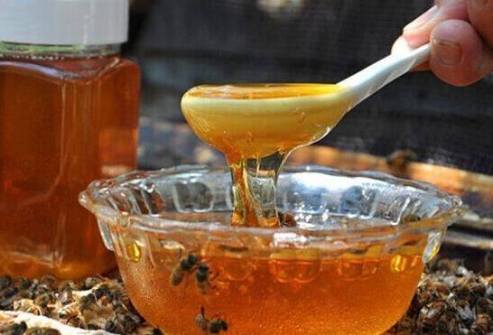 蜂蜜真的能治疗便秘吗 蜂蜜如何吃治便秘