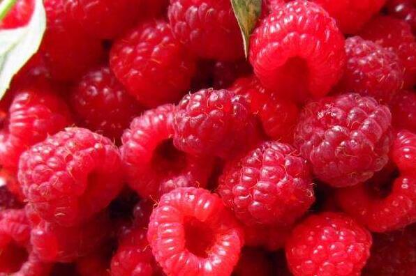 山莓和树莓的区别 山莓的功效与作用