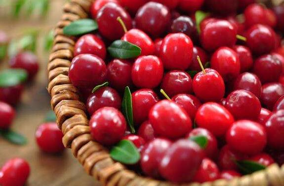 红梅和蔓越莓的区别 吃蔓越莓的好处