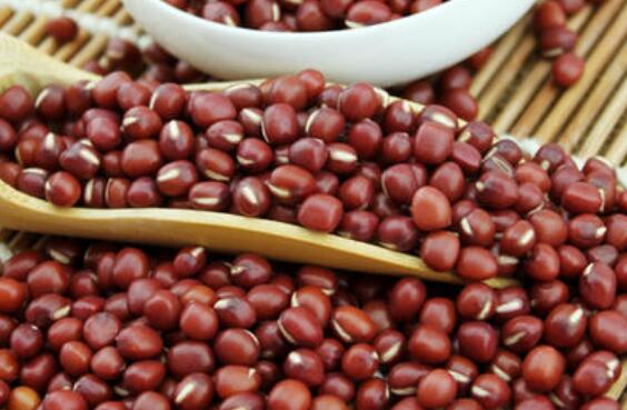 红小豆的功效与作用 红小豆的食用方法