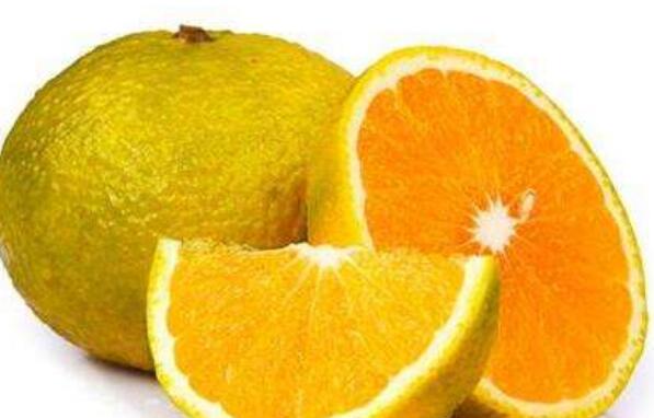 橘柚的功效与作用 橘柚的营养价值