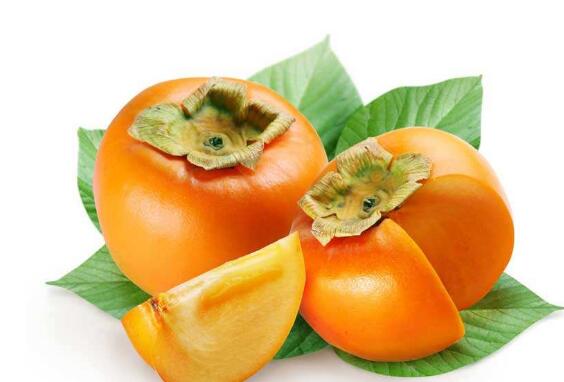 脆柿子的功效与作用 脆柿子的禁忌
