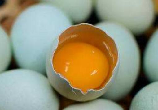 乌鸡蛋对女士的益处 乌鸡蛋不宜什么人吃