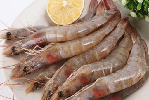 海龙虾和小河虾有什么差别