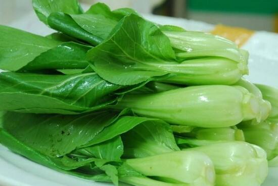 青菜和油菜子的差别 吃小白菜的好处