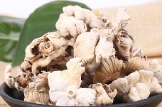 白参菇的作用与功效 白参菇的吃法