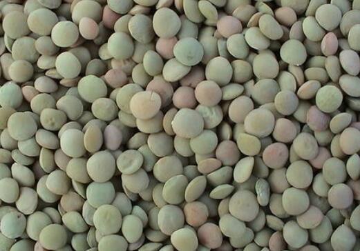 小扁豆的功效与作用 小扁豆如何吃