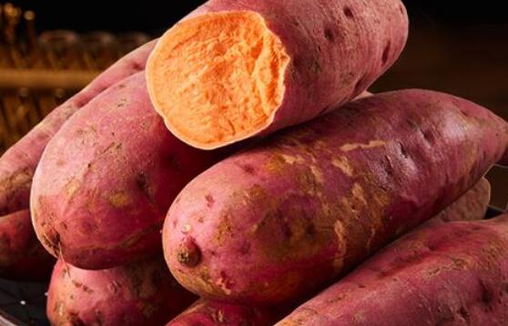 吃红薯的好处和弊端 长期性吃红薯有哪些伤害
