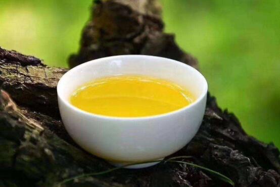 山茶籽油的作用与功效