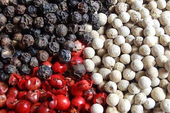 黑胡椒粉与黑胡椒的功效差别 黑胡椒粉和黑胡椒粉有哪些不一样