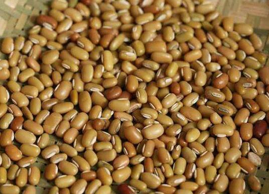 巴山豆的作用和功效 巴山豆的营养成分