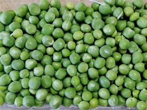 鲜豌豆的营养价值有哪些？经常食用豌豆的好处是什么 