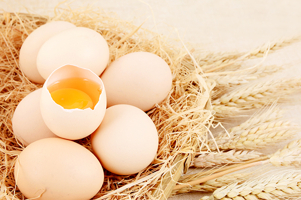 肝硬化患者可以吃鸡蛋吗