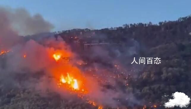 重庆涪陵区山火复燃 此前这一山林的山火一度得到控制 重庆涪陵火灾起火原因