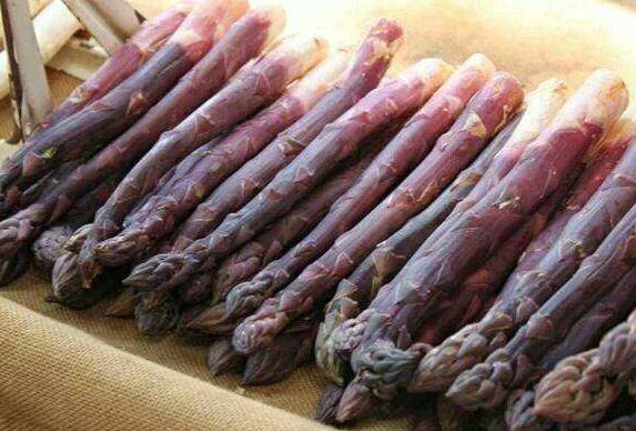 紫芦笋的功效与作用 吃紫芦笋的好处