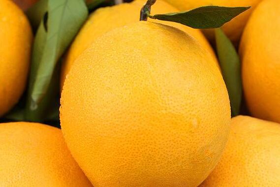橙子皮的功效与作用 橙子皮泡水喝的功效