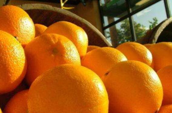 橙子皮的功效与作用 橙子皮泡水喝的功效
