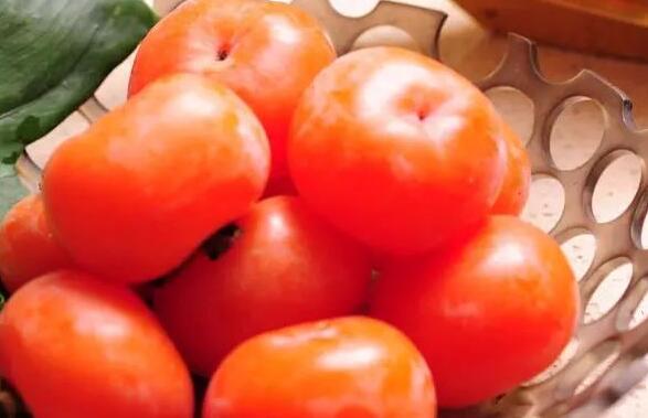 柿子的功效与作用 吃柿子的好处有哪些