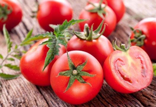 番茄和西红柿的差别