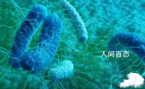 武汉大学出现霍乱病例?官方回应